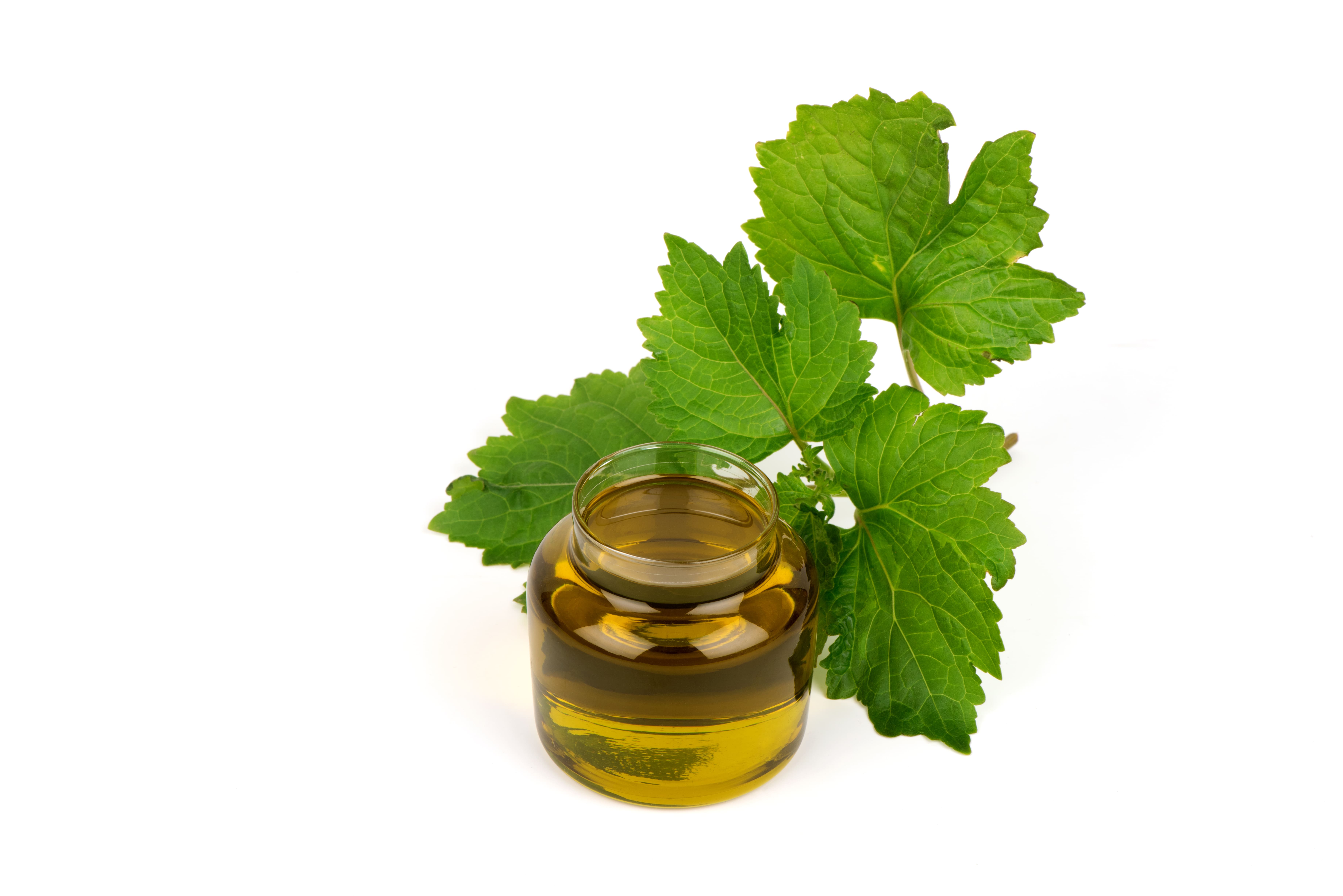 Minyak Nilam (Patchouli Oil)